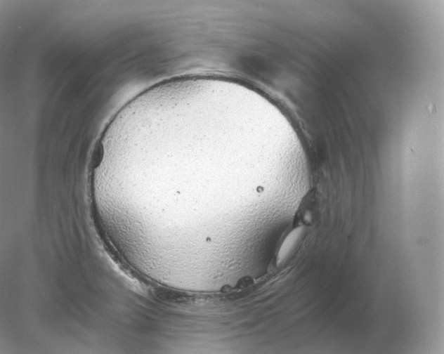 X0000078301375200611172137