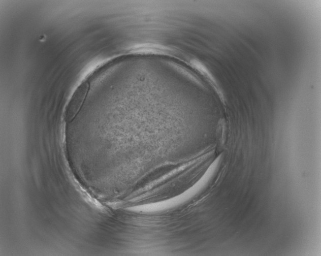 X0000078301376200611172137