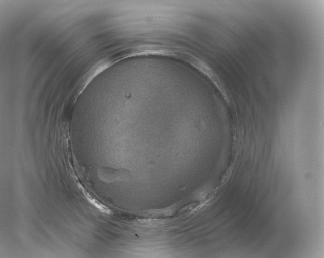 X0000078301377200611172137