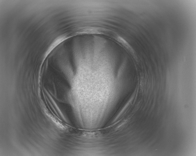 X0000078301378200611172137