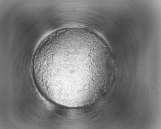 X0000078301379200611172137