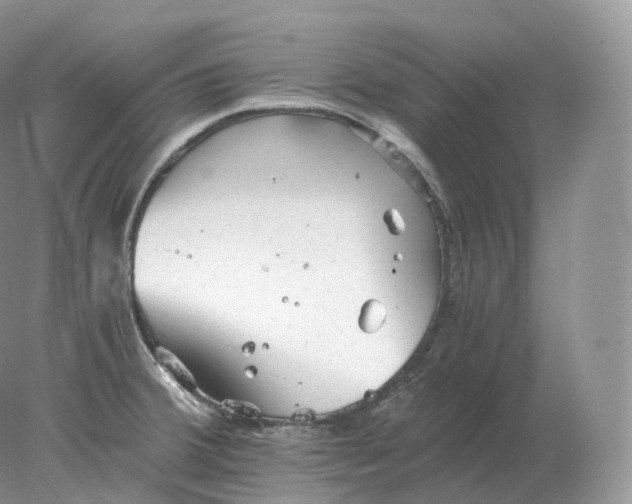 X0000078301380200611172137