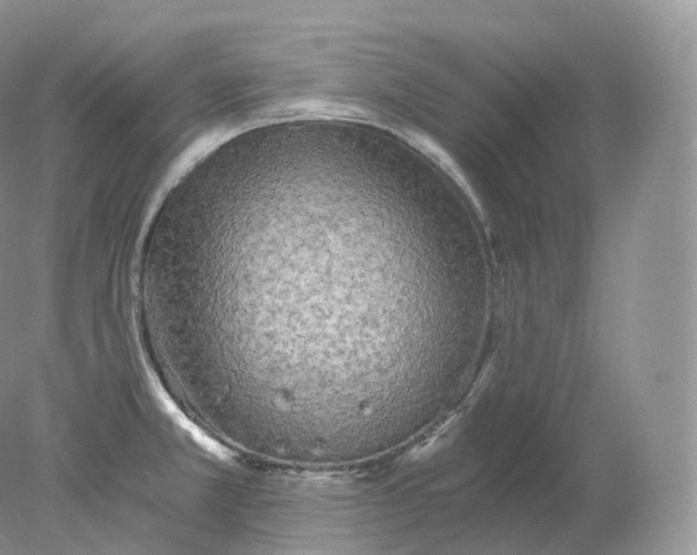 X0000078301381200611172137