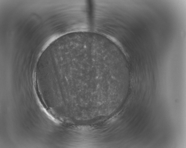 X0000078301383200611172137