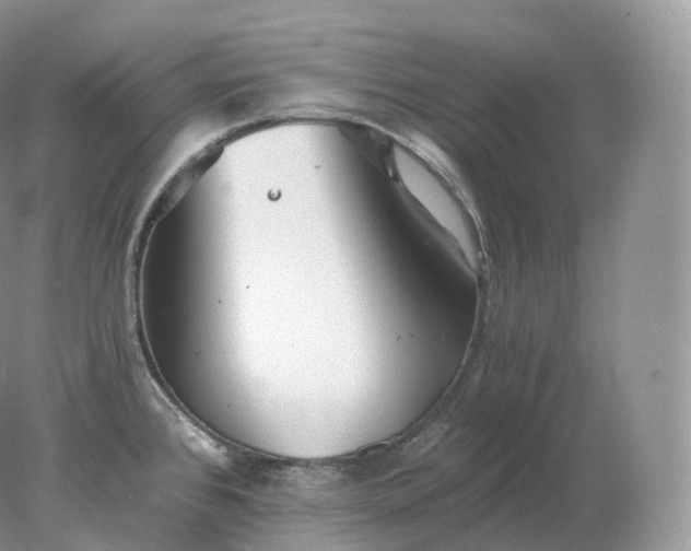 X0000078301384200611172137