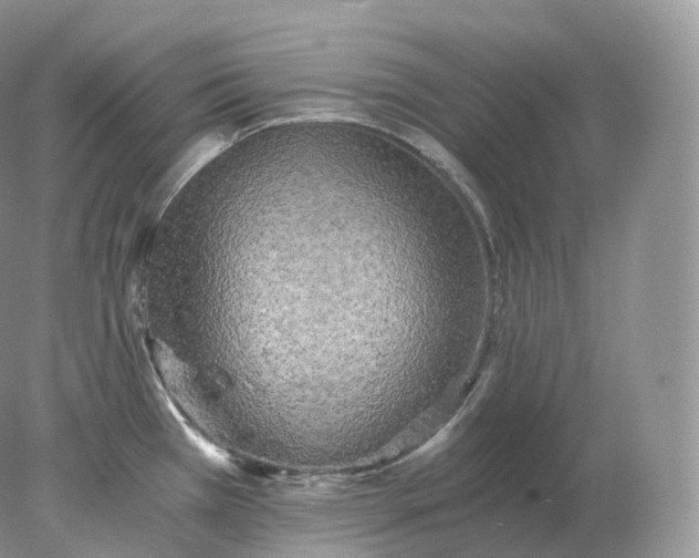 X0000078301385200611172137