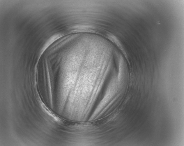 X0000078301386200611172137