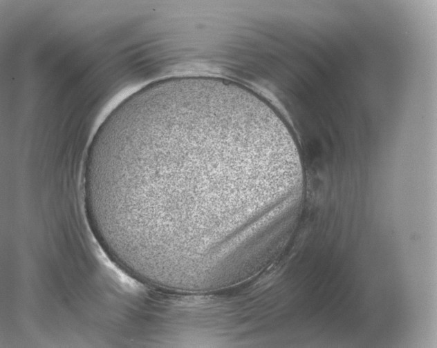 X0000078301387200611172137