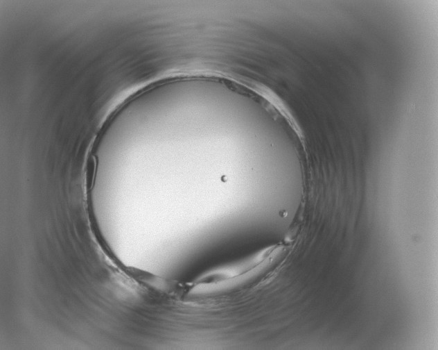 X0000078301388200611172137