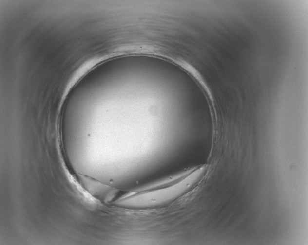 X0000078301389200611172137