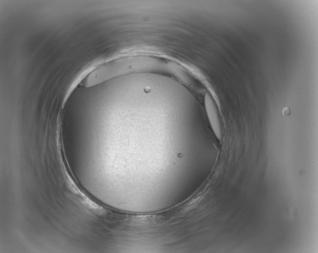 X0000078301390200611172137