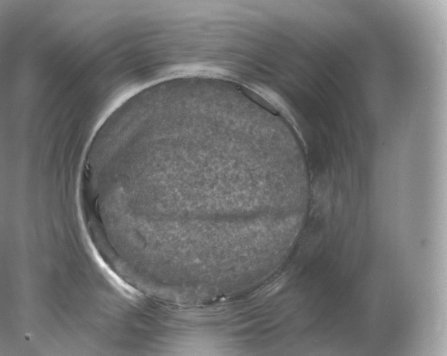 X0000078301391200611172137