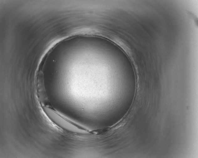 X0000078301392200611172137