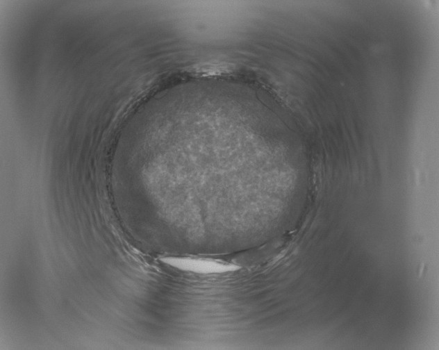 X0000078301393200611172136