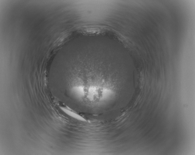 X0000078301394200611172136