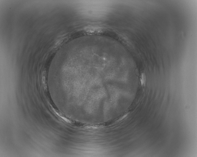 X0000078301396200611172136