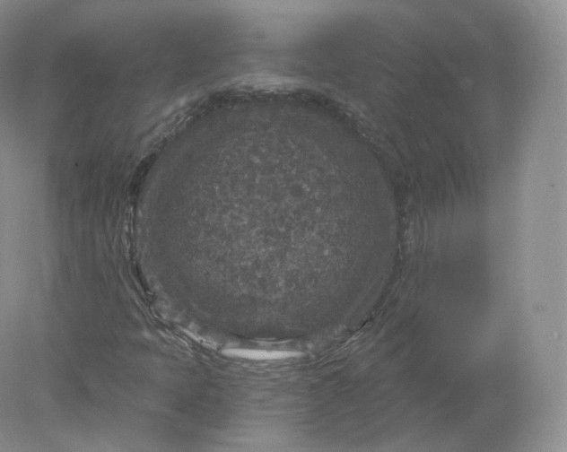 X0000078301397200611172136