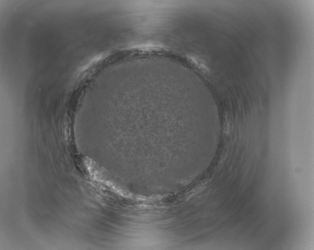 X0000078301398200611172136