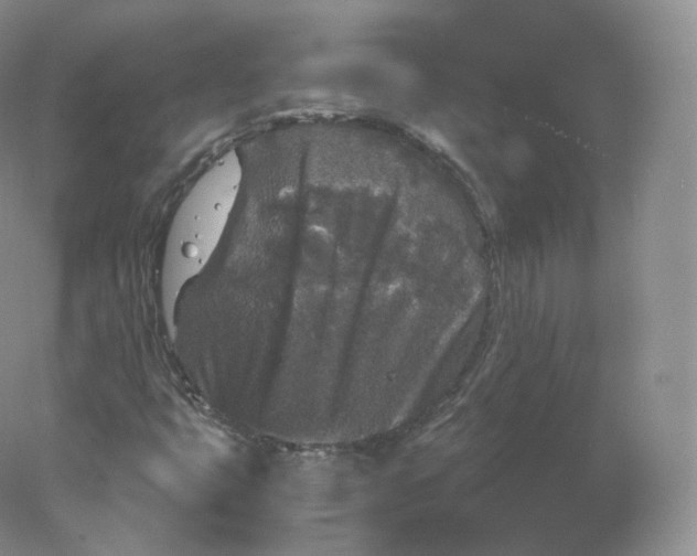 X0000078301399200611172136