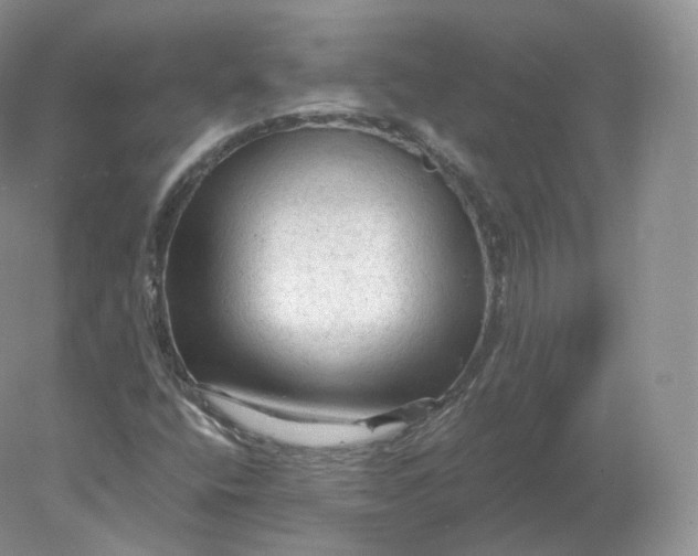 X0000078301400200611172136