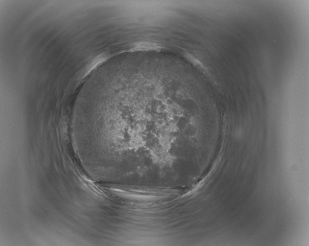 X0000078301401200611172136