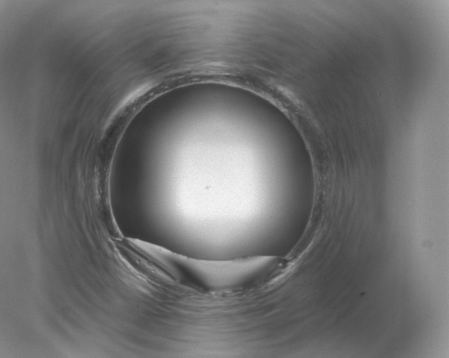 X0000078301402200611172136