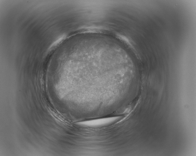 X0000078301403200611172136