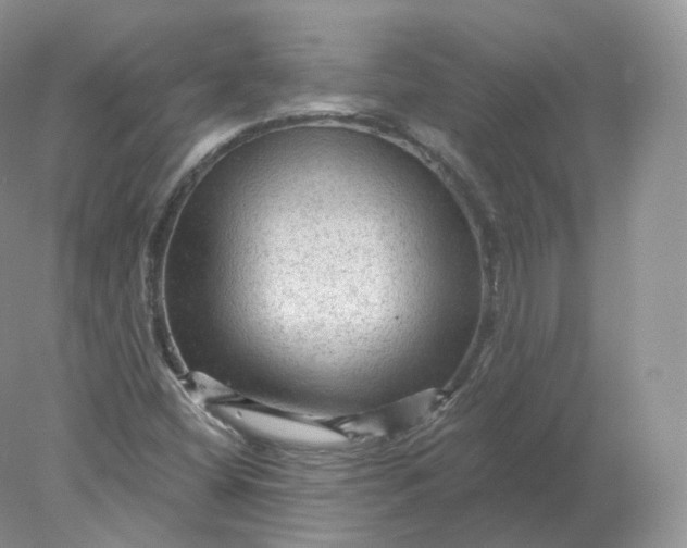 X0000078301404200611172136