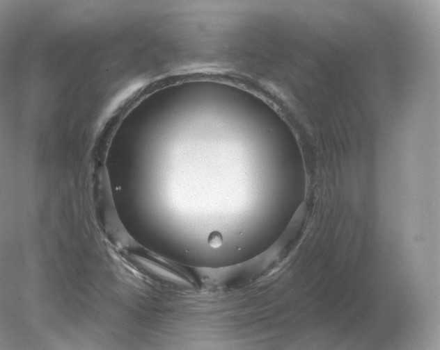 X0000078301406200611172136