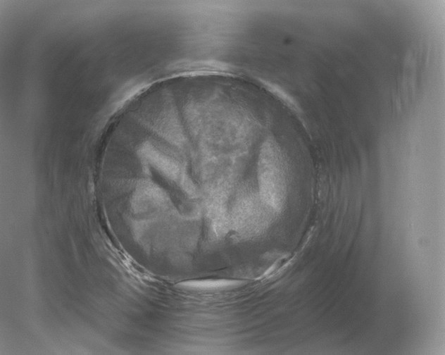 X0000078301407200611172136