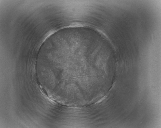 X0000078301409200611172136