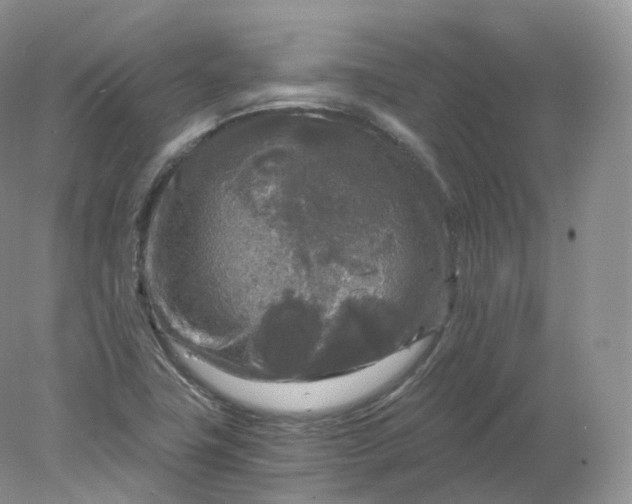 X0000078301411200611172136