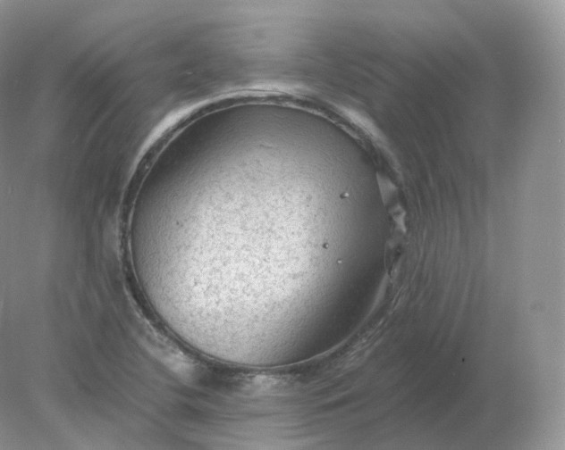 X0000078301412200611172136