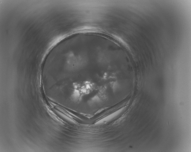 X0000078301413200611172136