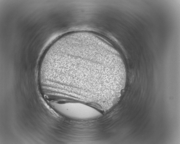 X0000078301416200611172136