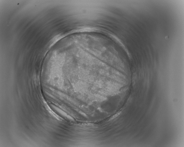 X0000078301417200611172136