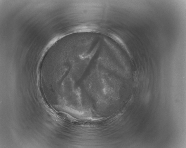 X0000078301419200611172136