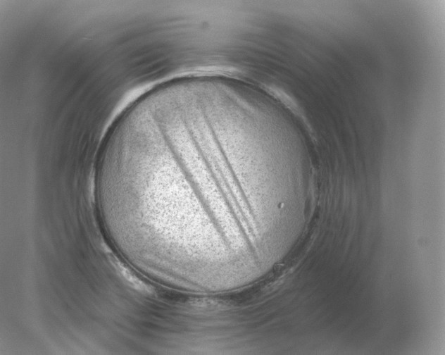 X0000078301420200611172136