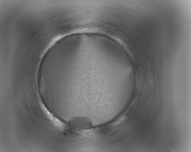 X0000078301422200611172136