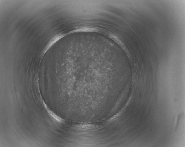 X0000078301425200611172136