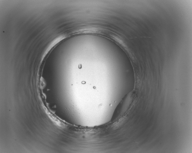 X0000078301426200611172136