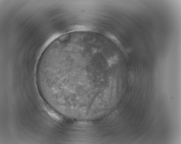 X0000078301427200611172137