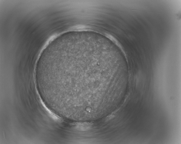 X0000078301429200611172137