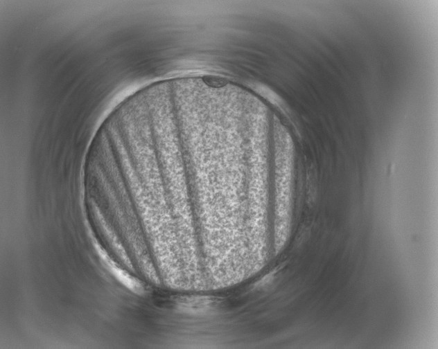 X0000078301431200611172137