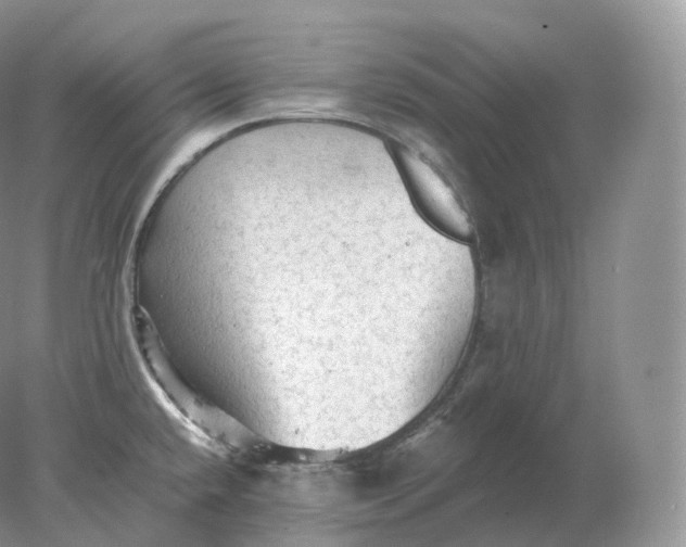 X0000078301432200611172137