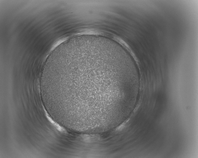 X0000078301433200611172137