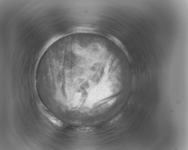 X0000078301435200611172137