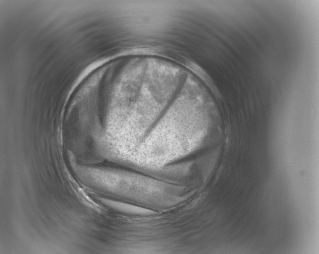 X0000078301436200611172137