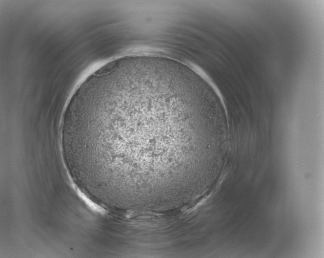 X0000078301437200611172137