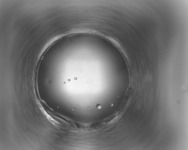 X0000078301438200611172137